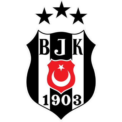Besiktas artwork 1