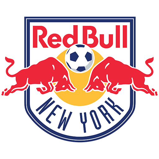 New York Red Bulls artwork 1