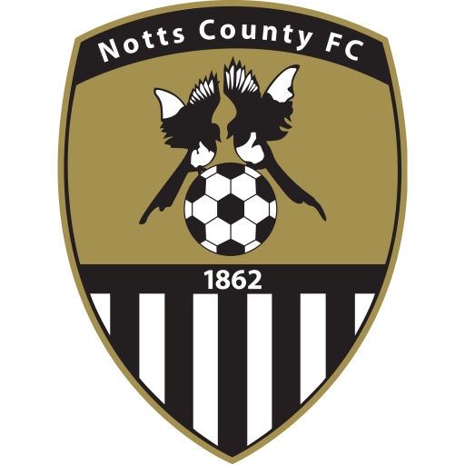 Notts County artwork 1