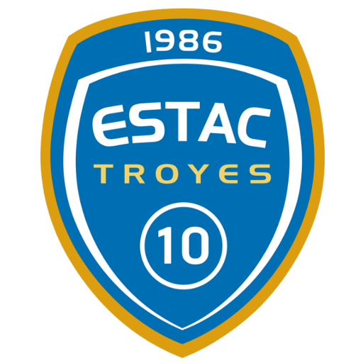 Troyes badge
