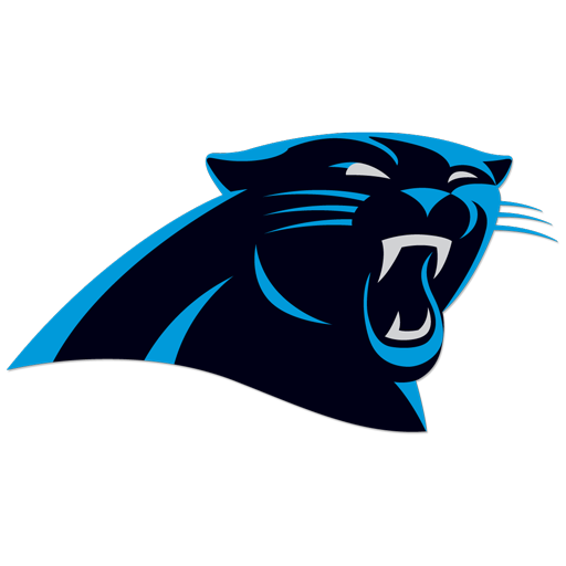 Carolina Panthers artwork 1