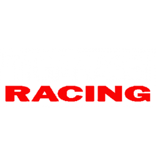 Chip Ganassi Indycar Racing badge
