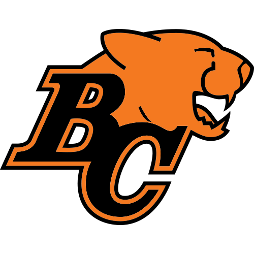 BC Lions artwork 1