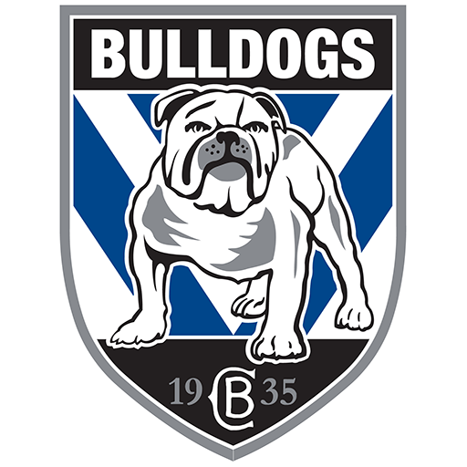 Canterbury Bankstown Bulldogs artwork 1