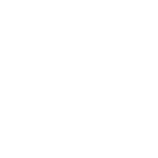 Lyon-Villeurbanne badge