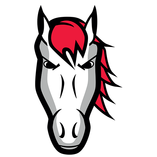 Leicester Riders artwork 1