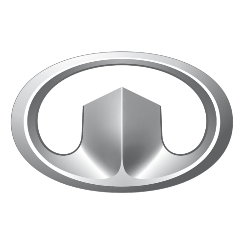 Team Great Wall badge