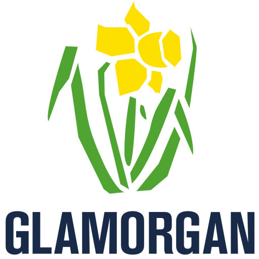 Glamorgan t20 artwork 1