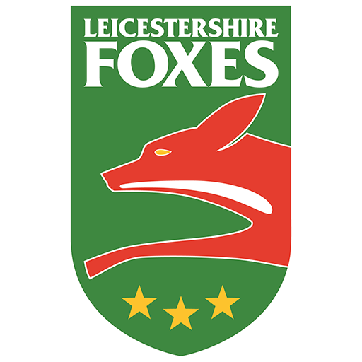 Leicestershire Foxes artwork 1