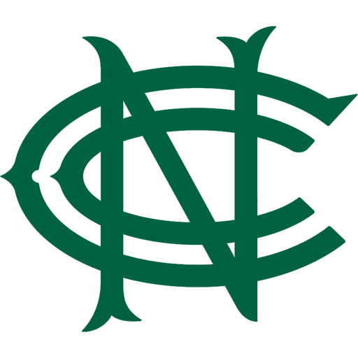 Nottinghamshire Outlaws badge