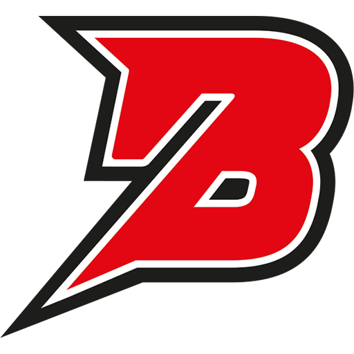 BK Pardubice artwork 1