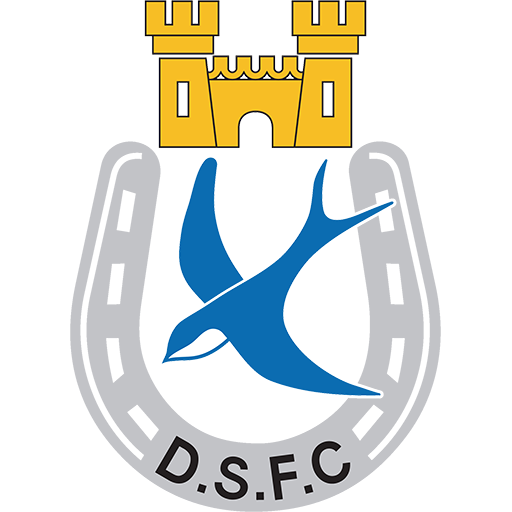Dungannon Swifts artwork 1