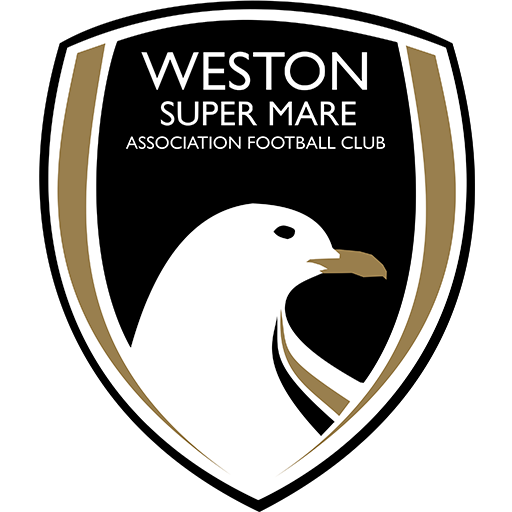 Weston-super-Mare FC artwork 1