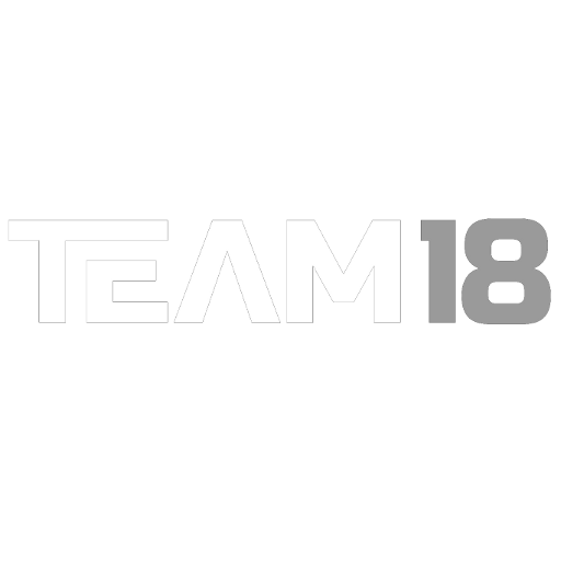 Team 18 artwork 1