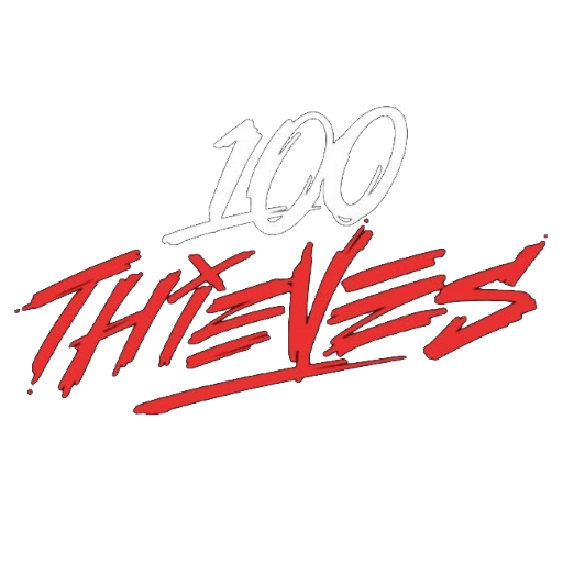 100 Thieves artwork 1