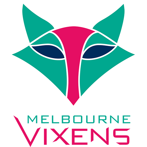 Melbourne Vixens artwork 1