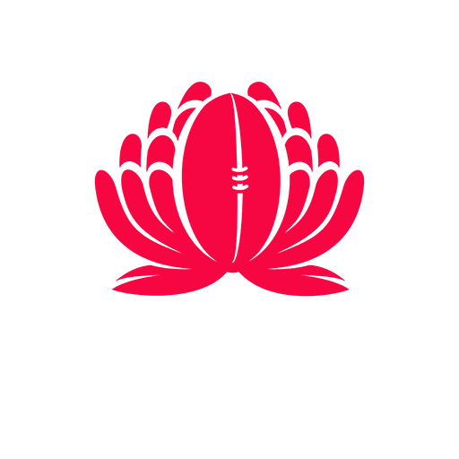New South Wales Waratahs artwork 1