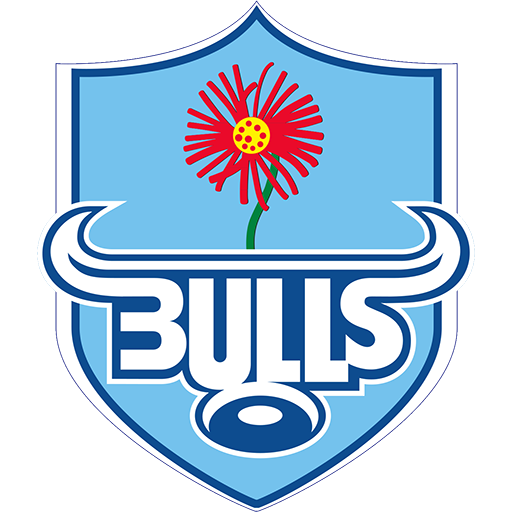 Bulls Super Rugby artwork 1