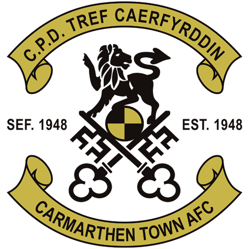 Carmarthen Town artwork 1