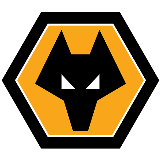 Wolves U21 artwork 1