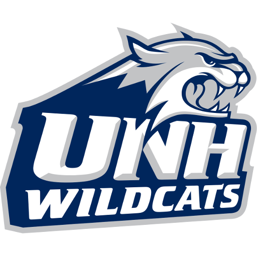 New Hampshire artwork 1