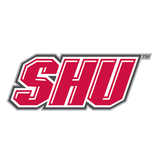 Sacred Heart artwork 1