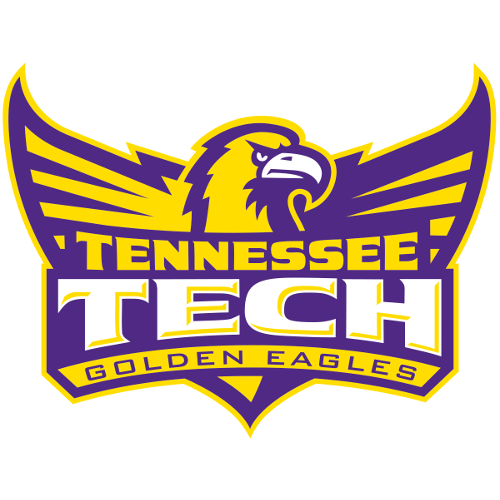 Tennessee Tech artwork 1