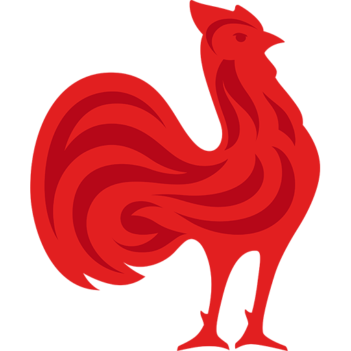 France Rugby artwork 1