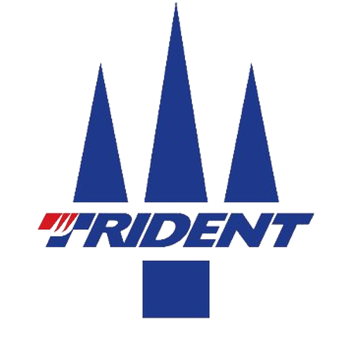 Trident Motorsport artwork 1