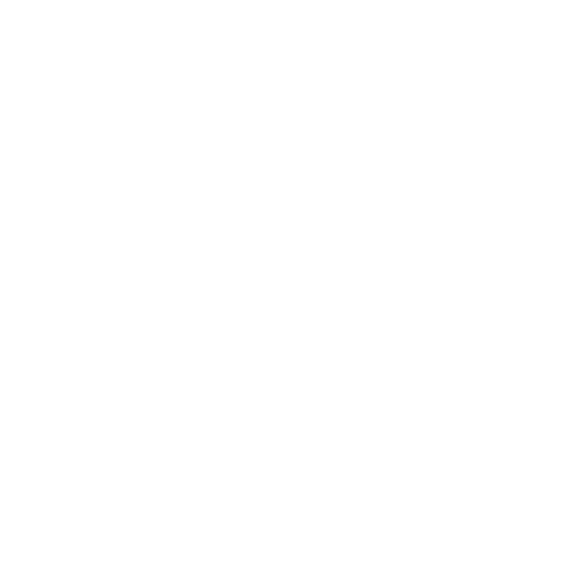 Fijian Drua artwork 1