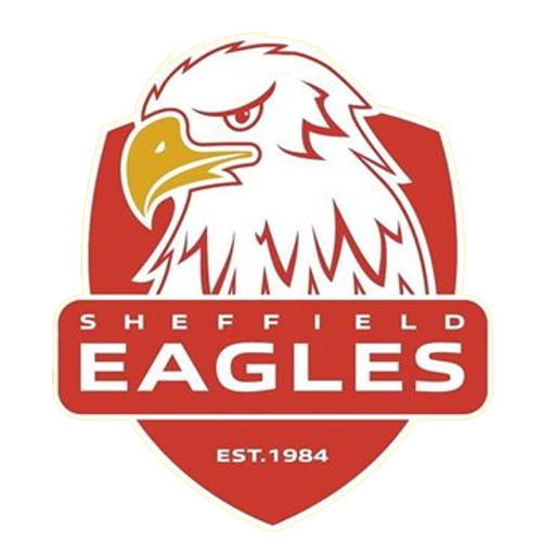 Sheffield Eagles artwork 1