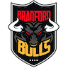 Bradford Bulls