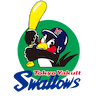Tokyo Yakult Swallows