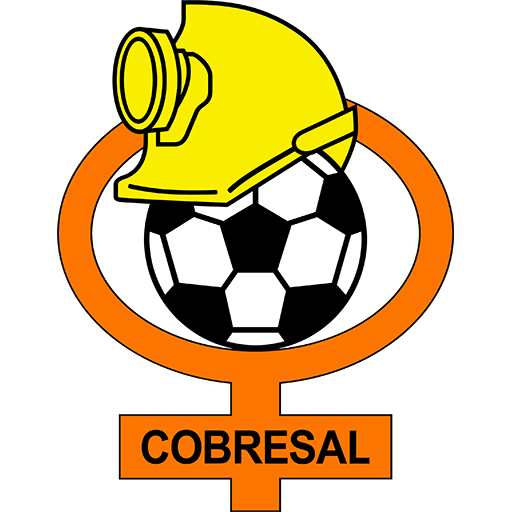 Cobresal artwork 1