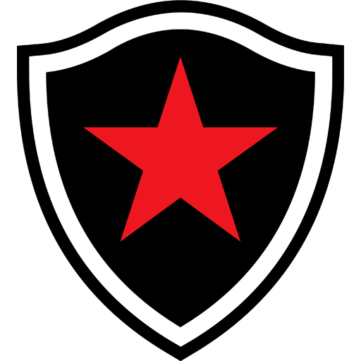 Botafogo PB artwork 1