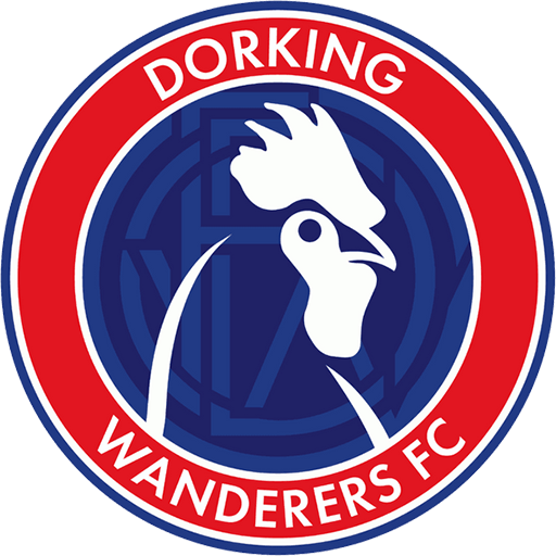 Dorking Wanderers artwork 1