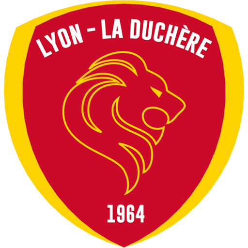 Lyon Duchère AS artwork 1