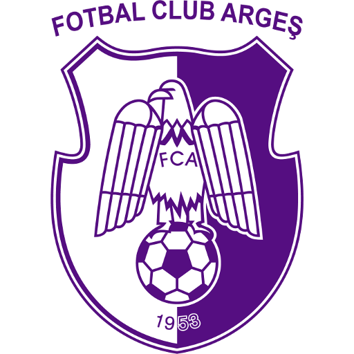 Arges Pitesti badge