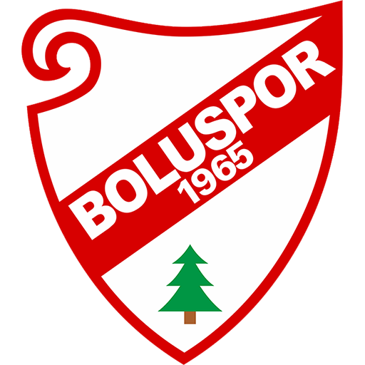 Boluspor artwork 1