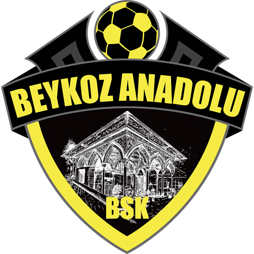 Tuzlaspor badge