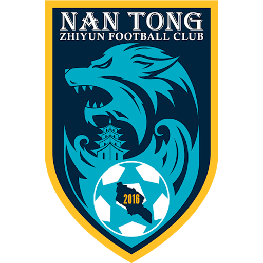 Nantong Zhiyun artwork 1