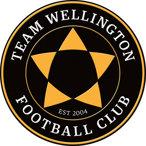 Team Wellington badge
