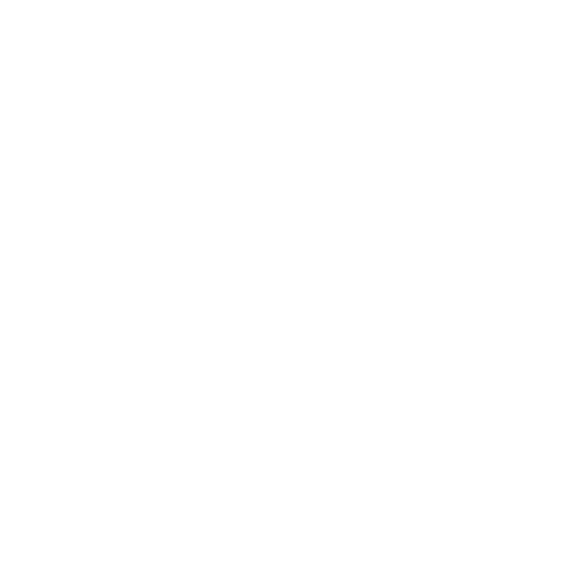 Indian Arrows badge
