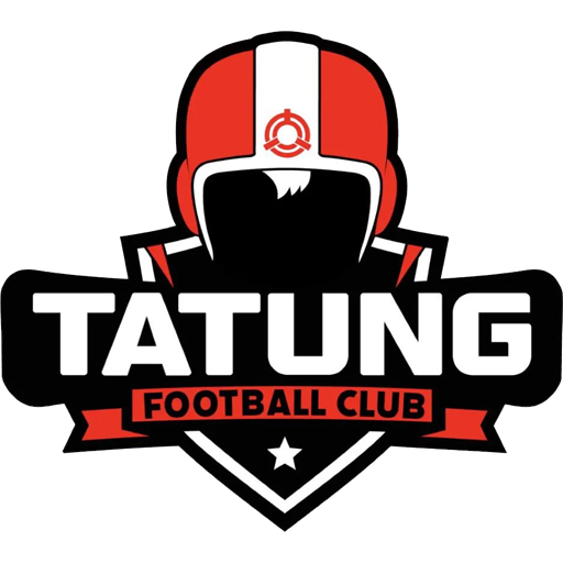 Tatung FC artwork 1