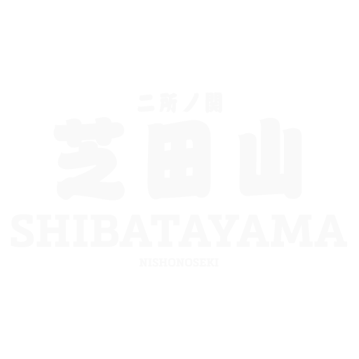 Shibatayama artwork 1