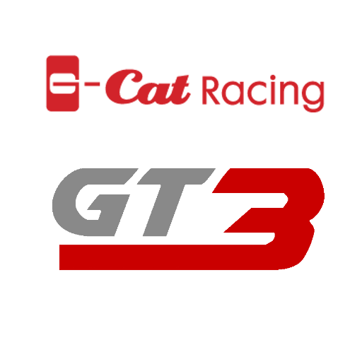 G-Cat Racing artwork 1