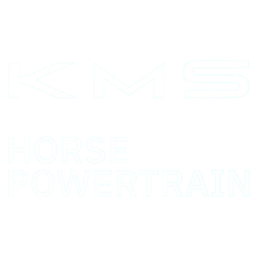 Volkswagen Dealerteam BAUHAUS badge