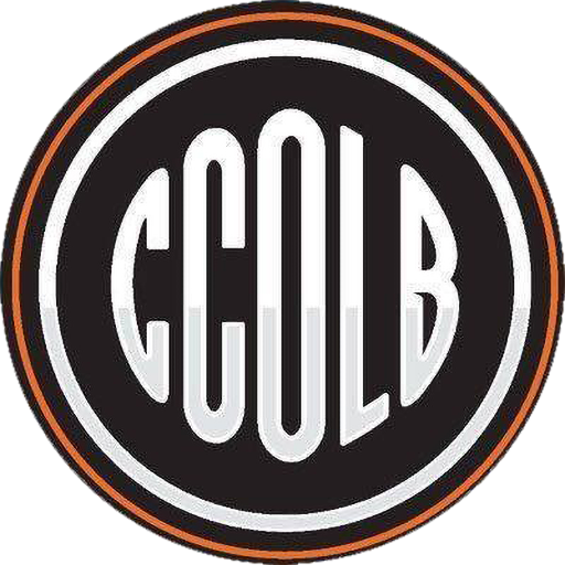 Ciclista Olímpico artwork 1