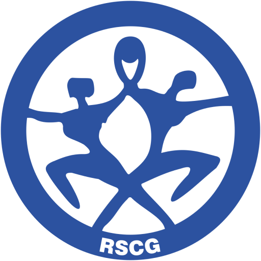 Montenegro Handball badge