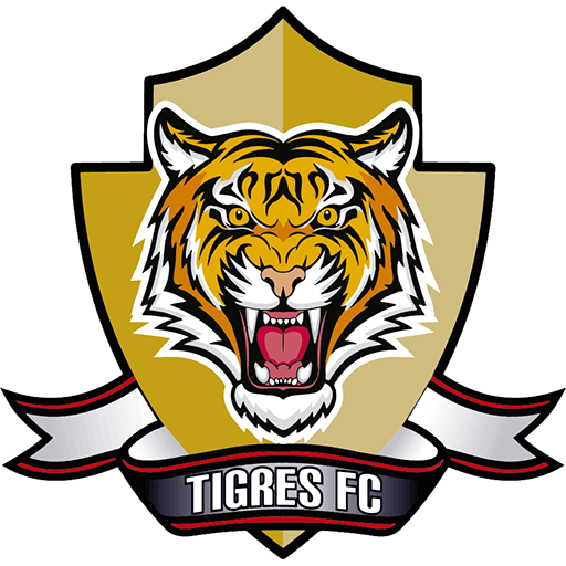 Tigres FC artwork 1